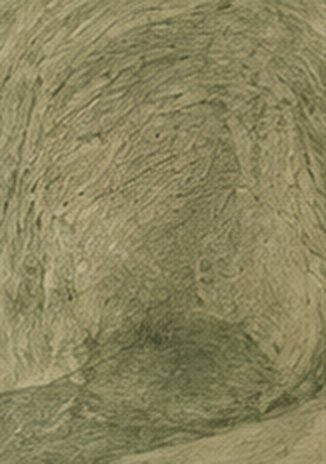 Obra 05 das Coleções CC