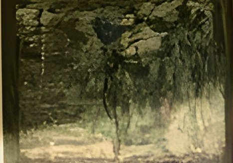 Obra 29 das Coleções CC