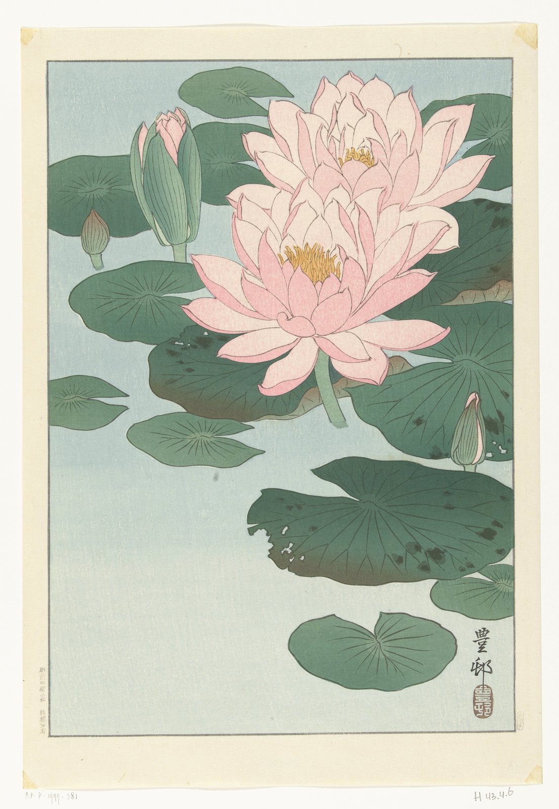 Xilogravura Flowering Water Lily, de Ohara Koson
